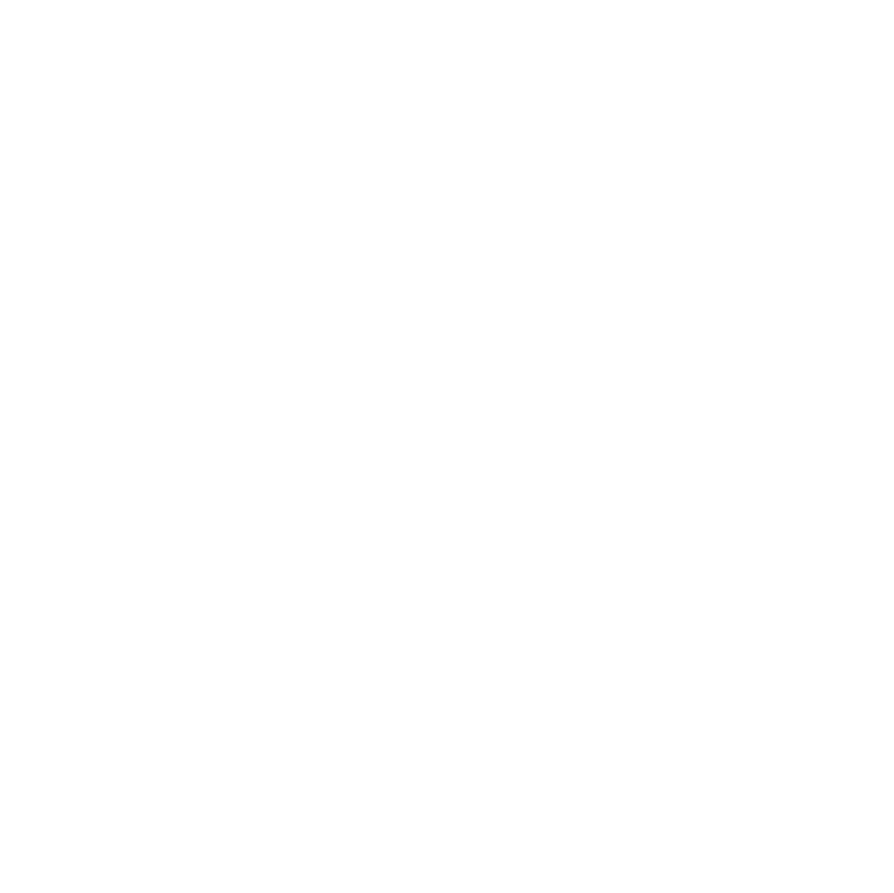 ibis Hotels